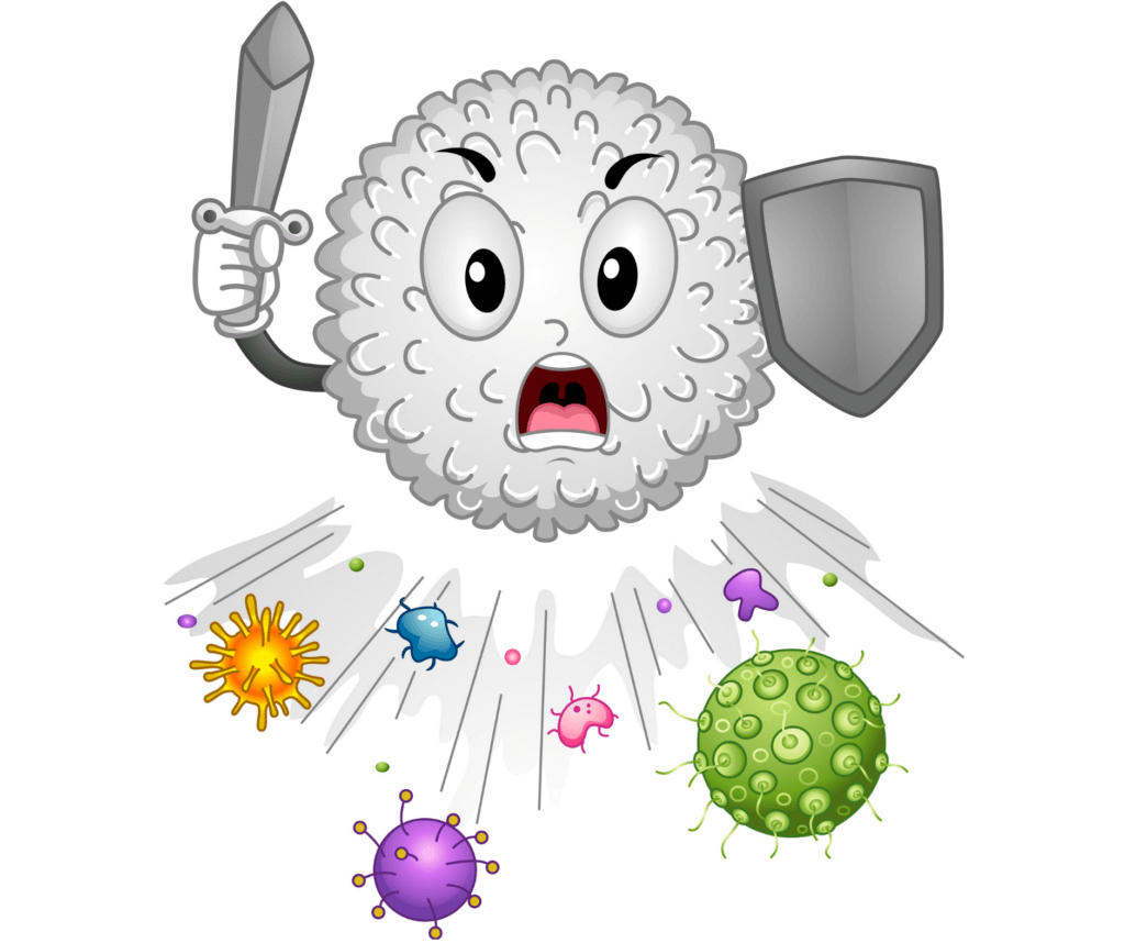 Immunsystem stärken - zeigt Viren die abgewehrt werden